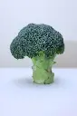 SAL_0374.webp