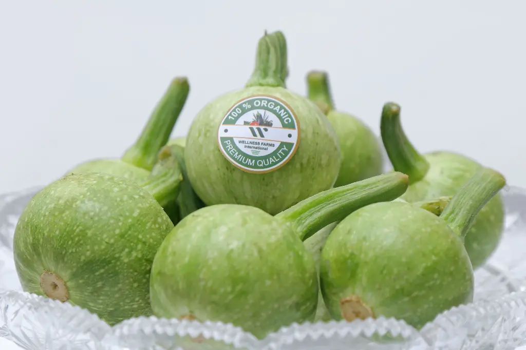 Organic Gol Tinda (Apple Gourd)