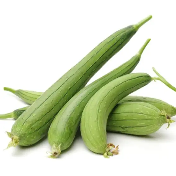 Organic Tori (Zucchini)