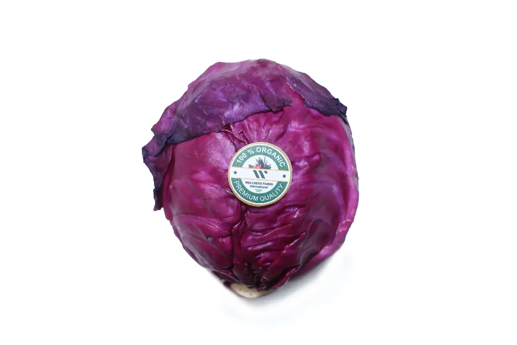 Organic Band Gobi Lal (Red Cabbage)