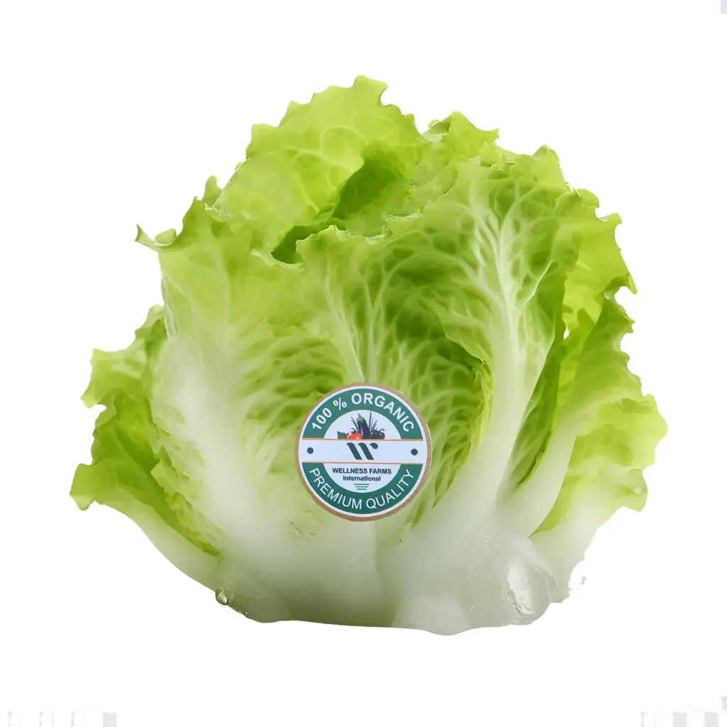 Organic Iceberg