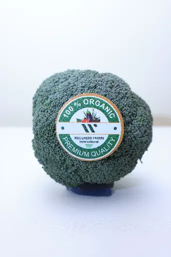 [Broccoli- 1] Organic Broccoli