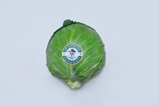 [Cabbage- 1] Organic Band Gobi Sabaz (Green Cabbage)