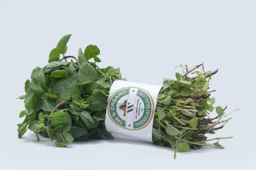 [Podina- 1] Organic Podina (Mint)