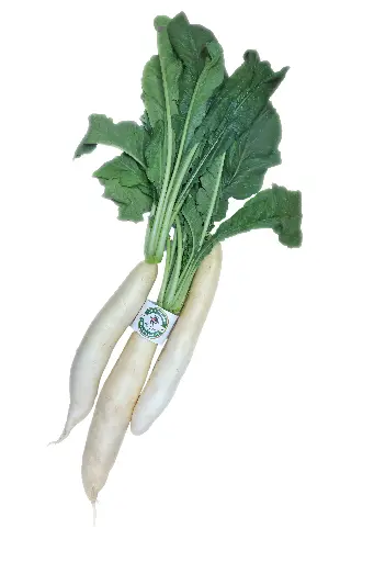 [Moli- 1] Organic Safaid Moli (White Radish)