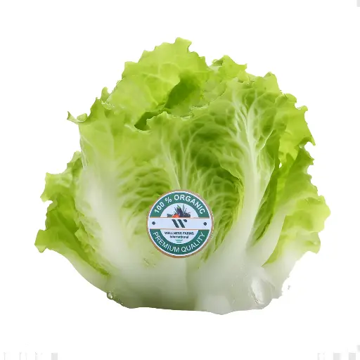[Iceberg- 1] Organic Iceberg