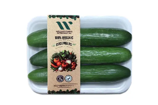 [Kheera- 1] Organic Kheera (Cucumber)