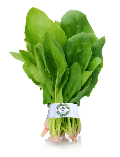 [Palak- 1] Organic Palak (Spinach)