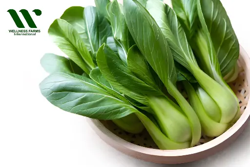[Bok Choy- 1] Organic Bok Choy